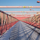 Image for article titled Sony RX10 Review: A First-Rate Camera With a Do-It-All Lens